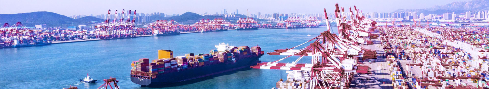 5t電動(dòng)葫蘆價(jià)格多少錢_行業(yè)新聞_新聞動(dòng)態(tài)_起重鉗,鋼板起重鉗,吊裝鉗,鋼板鉗,起重吊裝鉗-辰力集團(tuán)有限公司